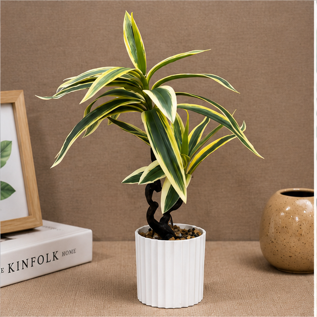 Artificial Variegated Dracaena Plant in White Pot (YM2247)