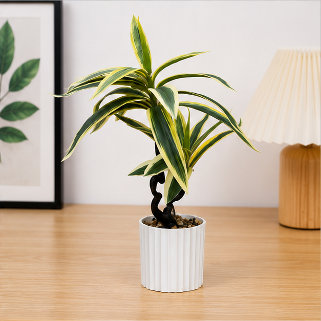Artificial Variegated Dracaena Plant in White Pot (YM2247)