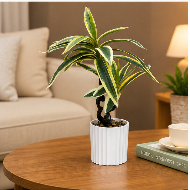 Artificial Variegated Dracaena Plant in White Pot (YM2247)