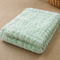 Mint Bliss Textured Bath Towel (YM2644)