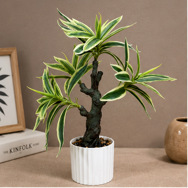 Artificial Dracaena Plant in White Ribbed Pot (YM2246)
