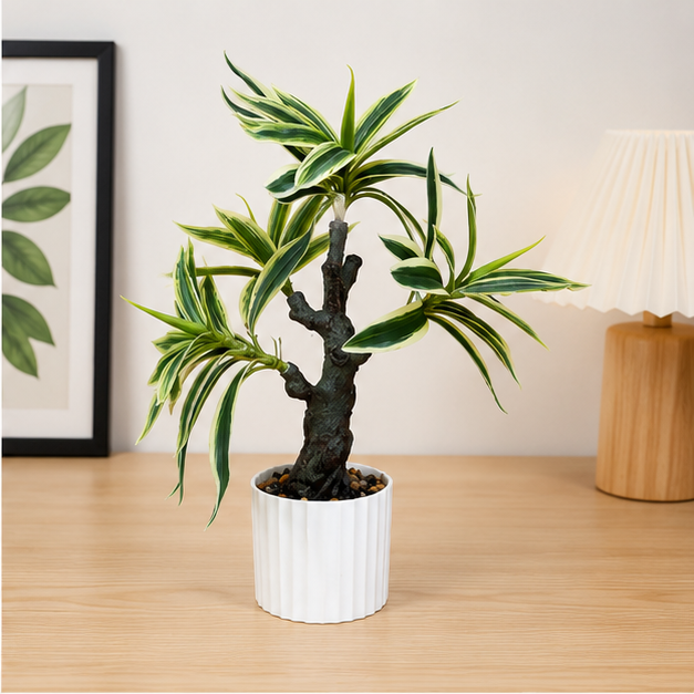 Artificial Dracaena Plant in White Ribbed Pot (YM2246)