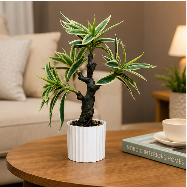 Artificial Dracaena Plant in White Ribbed Pot (YM2246)