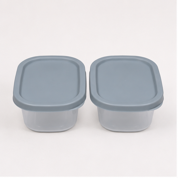 Grey Plastic Food Container Set of 2 (YM317)