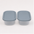 Grey Plastic Food Container Set of 2 (YM317)