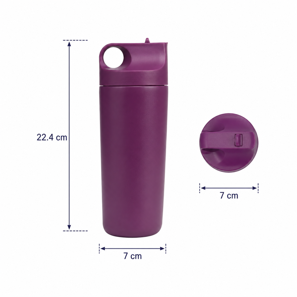Stainless Steel Insulated Travel Water Bottle - Mauve (YM2632)