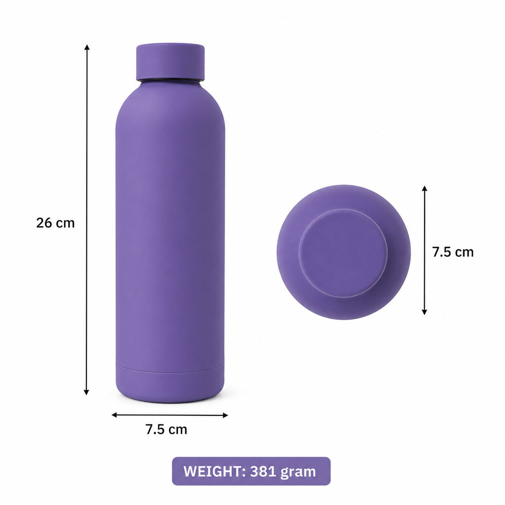 Stainless Steel Water Bottle - Matte Purple (YM039)