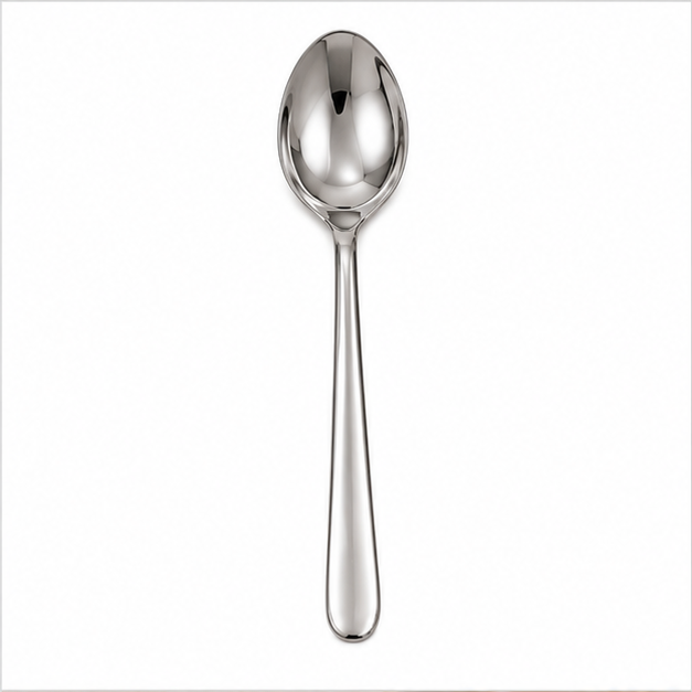 Stainless Steel Serving Spoon (YM207)