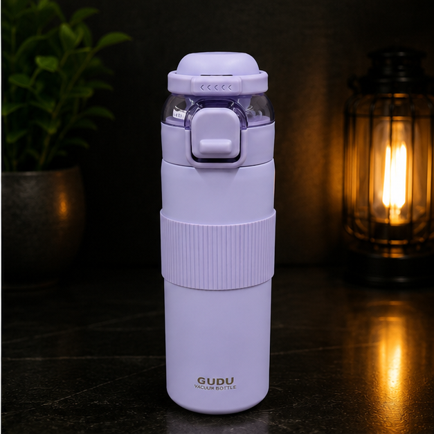 Insulated Stainless Steel Water Bottle Purple 700ML (YM1626)