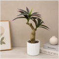 Artificial Bonsai Style Plant in White Pot (YM2249)