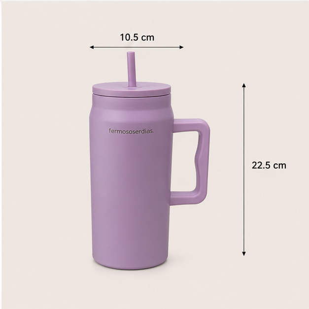 Premium Purple Insulated Tumbler with Handle & Straw (YM2631)